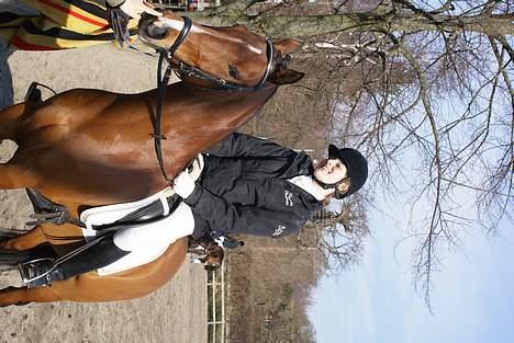 Fuldblod (XX) Honda - RIP. - Til stævne på MAK (: KIG PÅ HAM, ikke på mig, ligner en kage. men vi kom hjem med en 1 og 2 plads <3333 ILU billede 5