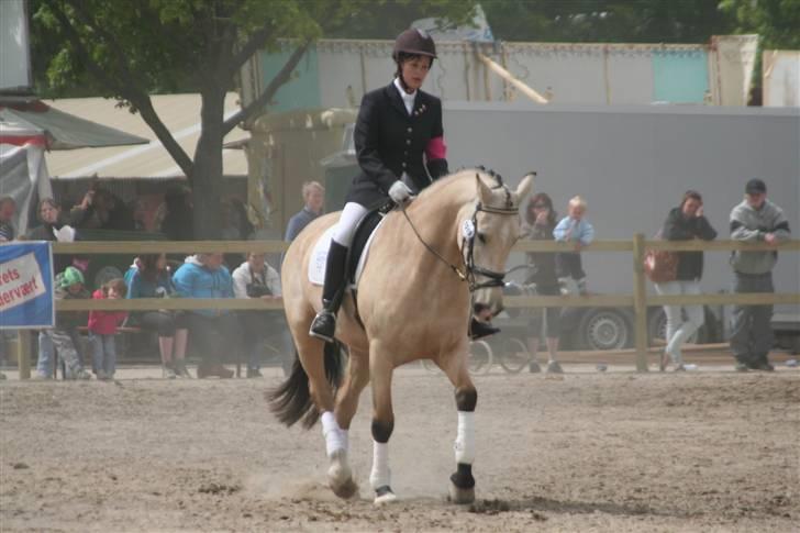 Frederiksborg Nubia - Roskilde dyreskue. billede 11