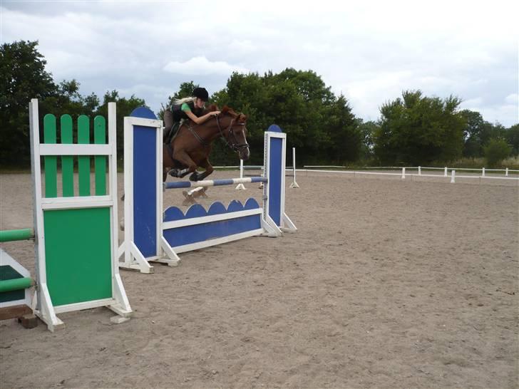 New Forest Stormonts LatinoSOLGT:' ( - MA Spring træning. Han fløj bare over. 16 Juli NYT! billede 10