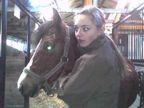 Anden særlig race Cognac R.I.P - Spændende at få øje på andre heste. billede 6