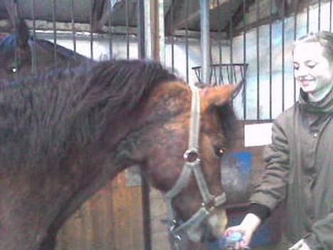 Anden særlig race Cognac R.I.P - SAVN. billede 7