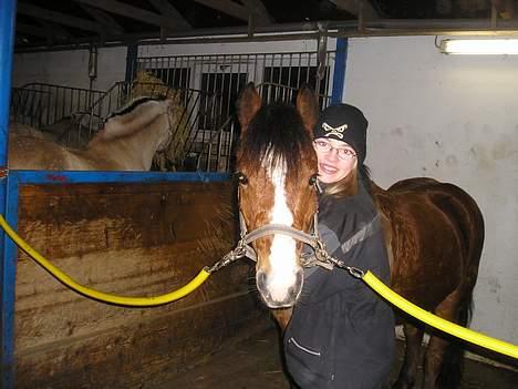 Anden særlig race Cognac R.I.P - <3 L O V E <3 billede 9