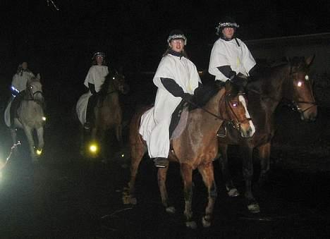 Anden særlig race Cognac R.I.P - Første og sidste gang vi red Lucia sammen R.I.P billede 10