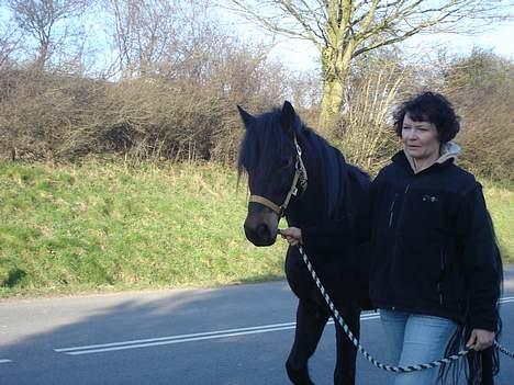 Connemara Nørlunds Falcon <33 ©® - Baby Mummi på hans først tur ved vejen.. Foto: Mig ©® billede 15