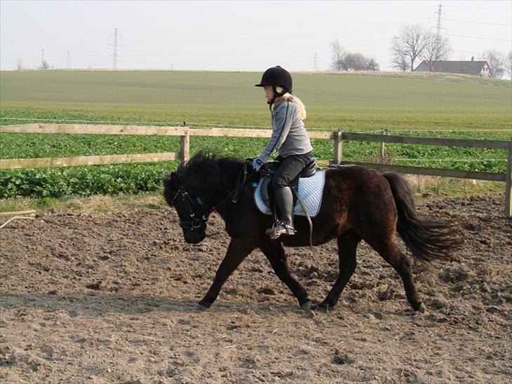 {{currentPhoto.altText}} billede {{currentPhoto.number}}