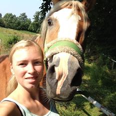 Anden særlig race Whiskey