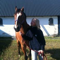 Anden særlig race Monty(Hannibal)