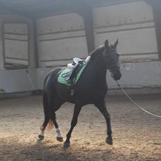 Anden særlig race Magic