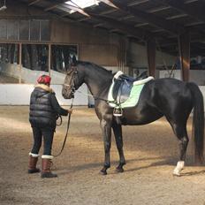 Anden særlig race Magic