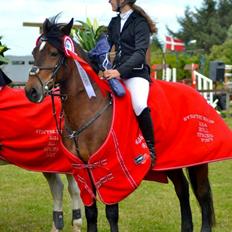 Irsk Sportspony Bessbrook Clover *A-pony*