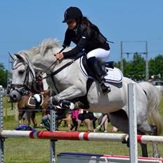 Anden særlig race Nordhøjens Freja 