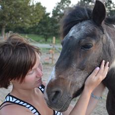 Shetlænder Karoline (Pony)