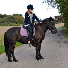 Islænder Röskva [Tidl. part]