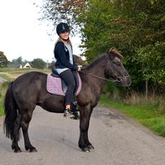 Islænder Röskva [Tidl. part]