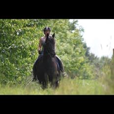 Frieser Hylkje Hoffe