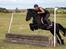 Fell pony Lars/Lasse
