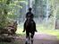 Connemara Quiva <3 - Galop i skoven. Q elsker det <3 - September 2014