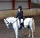 Welsh Mountain (sec A) stald halds Pippi <3<3<3