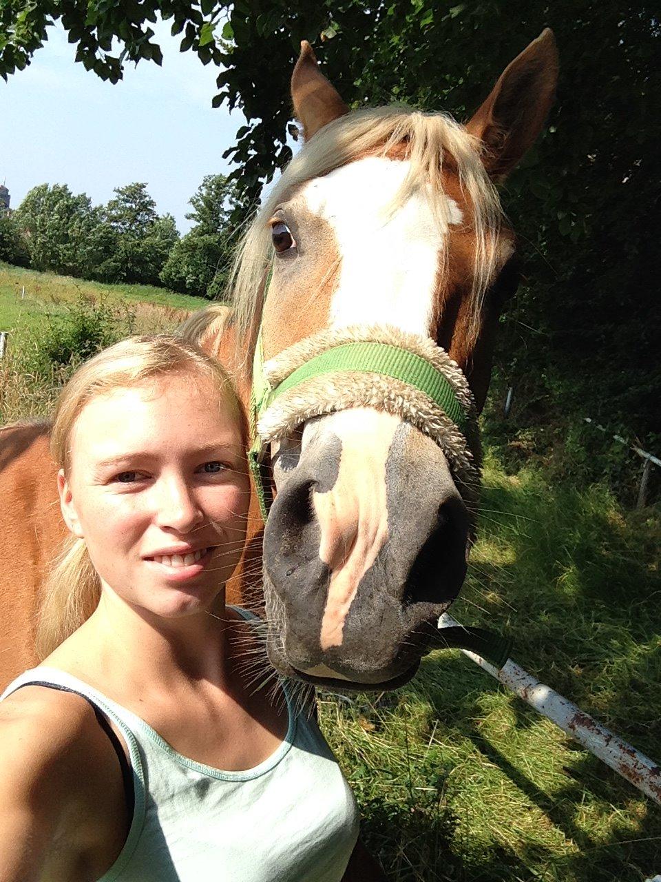 Anden særlig race Whiskey billede 3