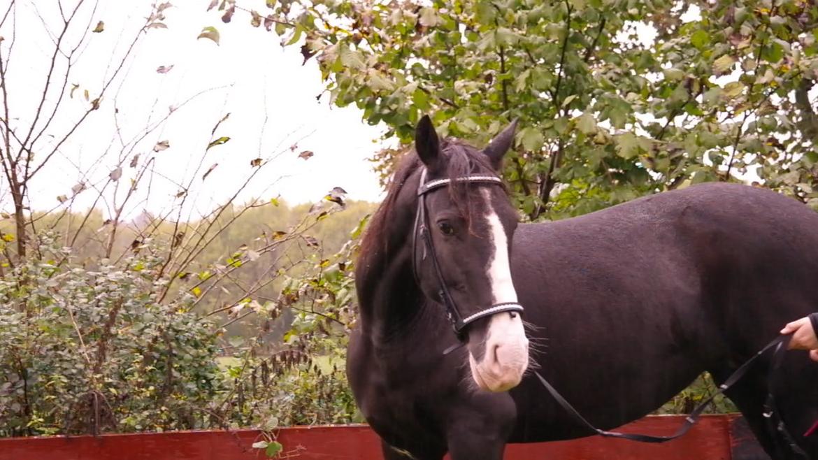 Anden særlig race Bianca - 24/9/20147 billede 13