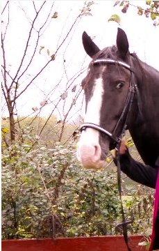 Anden særlig race Bianca - 24/9/2014 billede 6