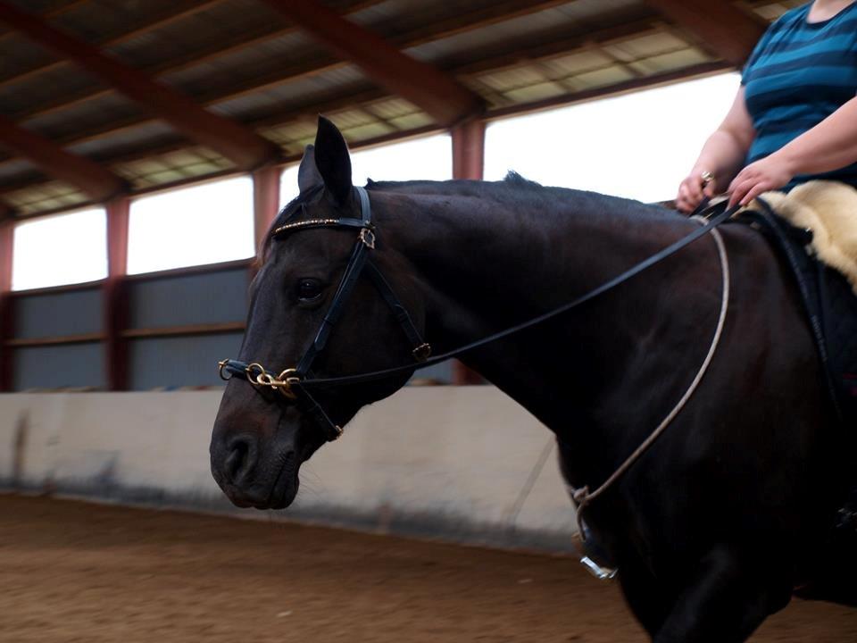 Anden særlig race Athena RIP <3 elsket og savnet billede 25