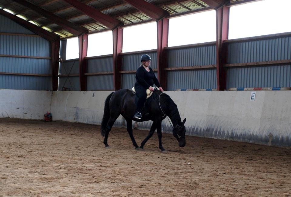 Anden særlig race Athena RIP <3 elsket og savnet billede 28