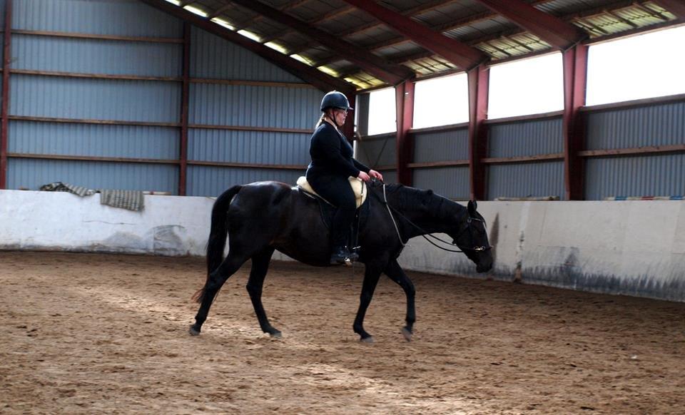 Anden særlig race Athena RIP <3 elsket og savnet billede 27