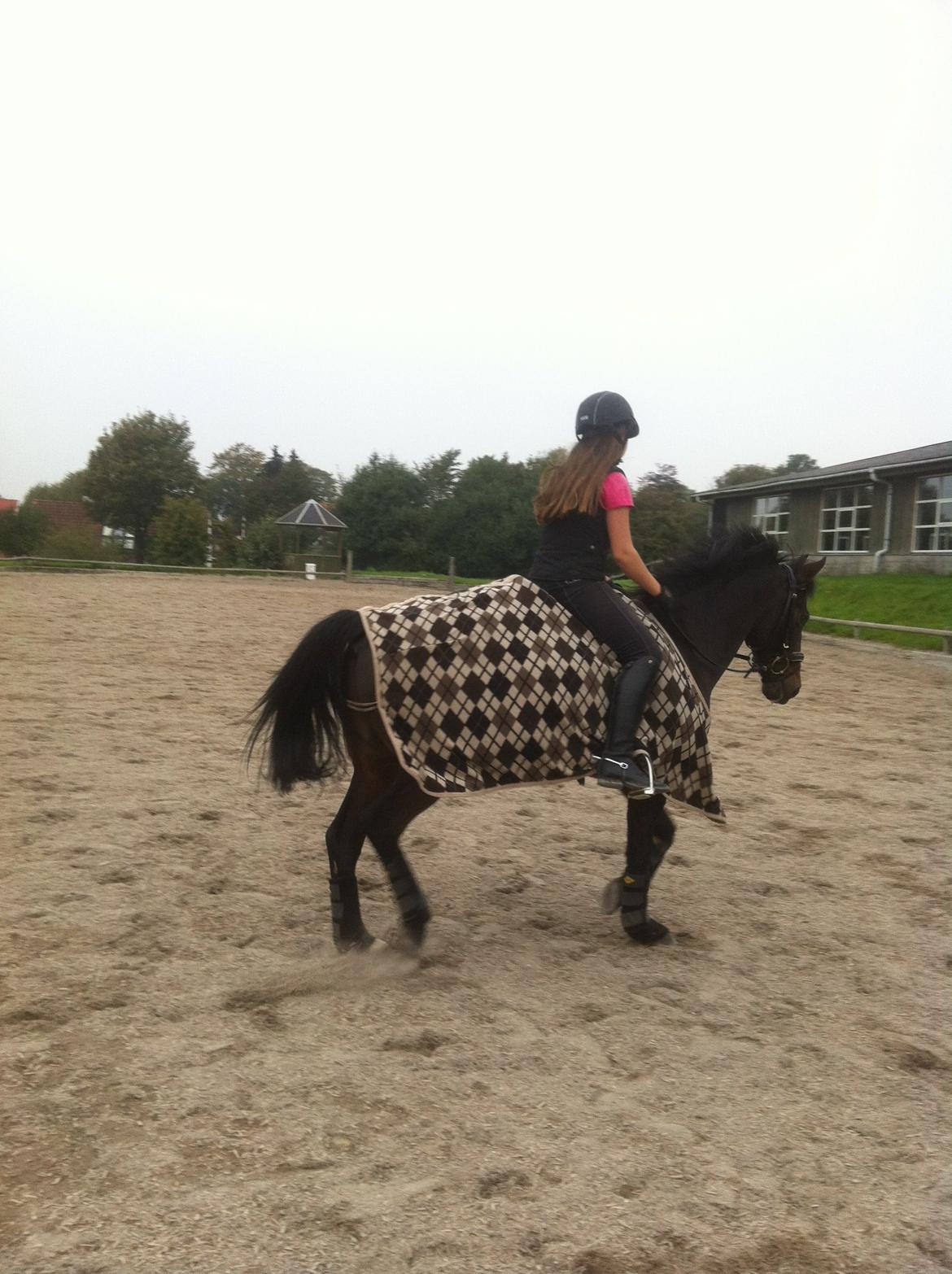 Anden særlig race Mr Saxo Vallentino<3 R.I.P. :( <3 billede 12