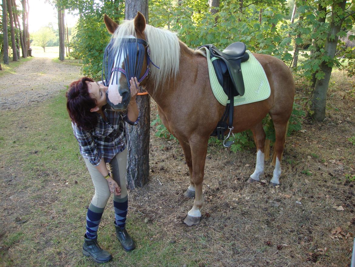 Palomino Savannah billede 5