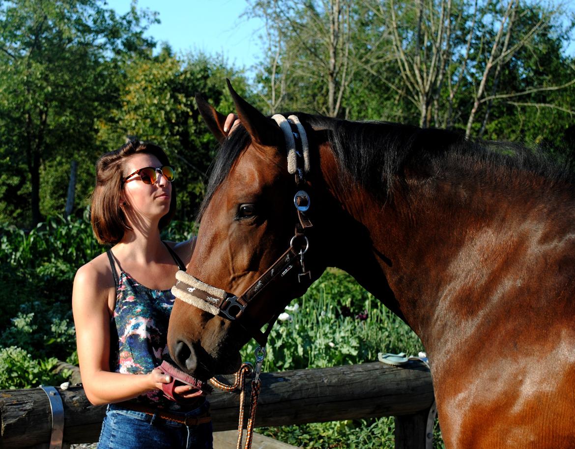 Anden særlig race Damtofts Valdemar billede 2