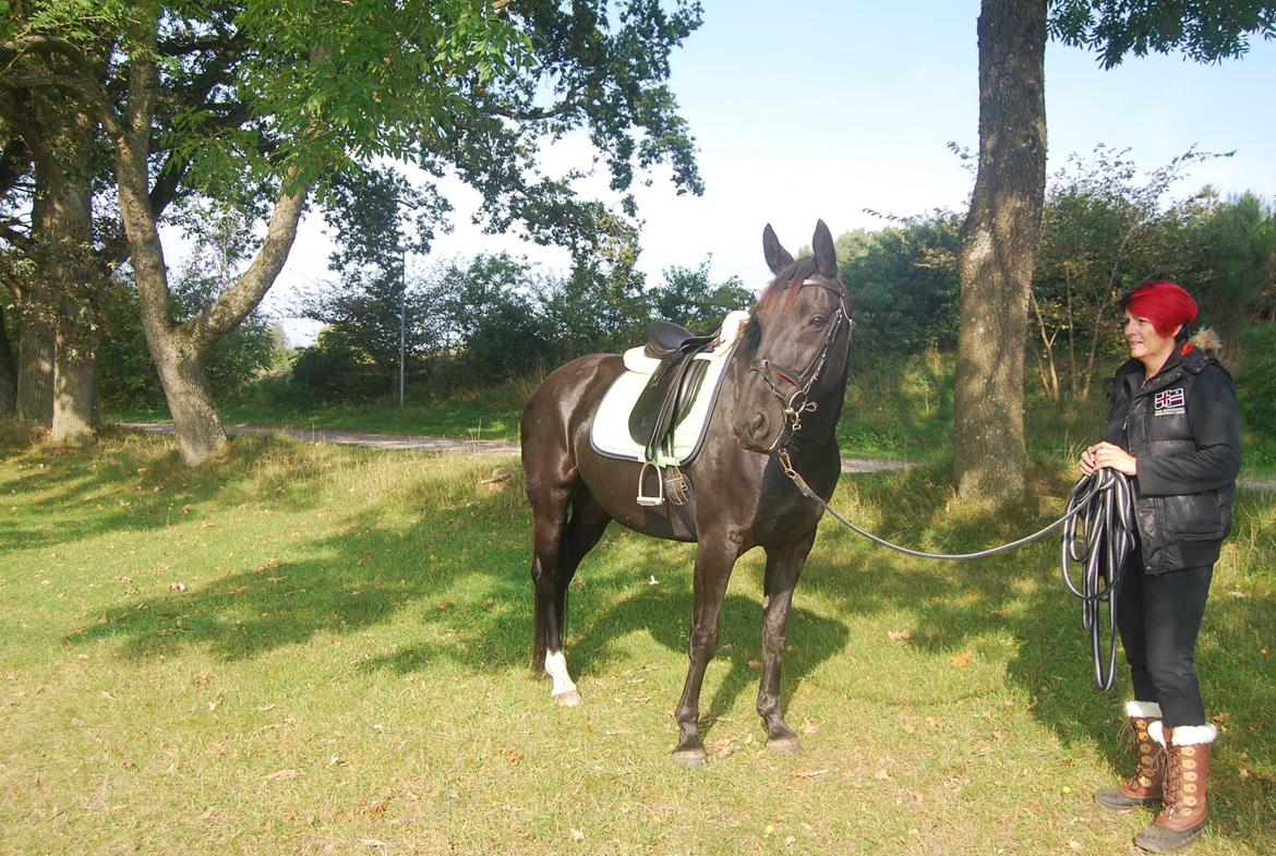 Anden særlig race Magic billede 15