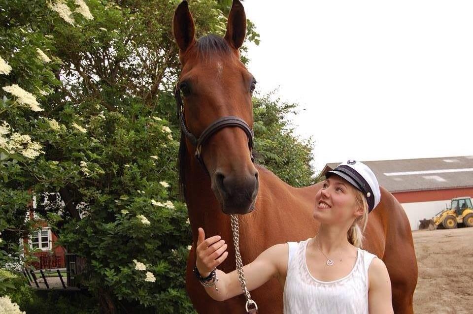 Traver C My Surprise billede 1