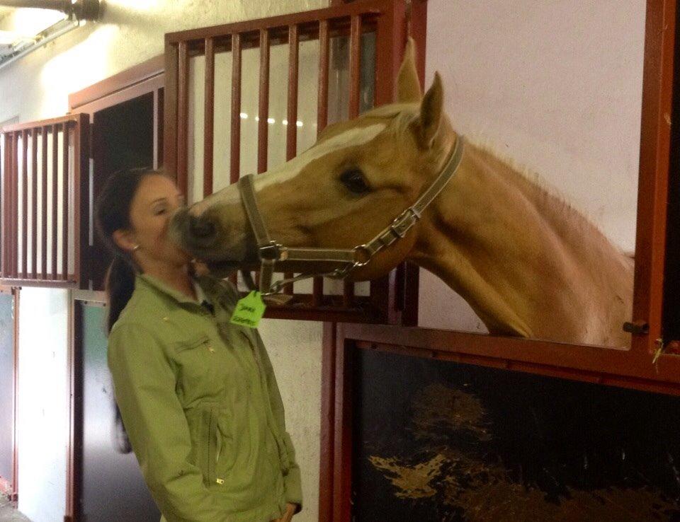 Palomino Billy the kid billede 38