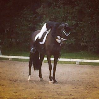 Dansk Varmblod Stenholt Amilla - Sydjysk Mesterskab for Hold - LA5 73.5 % September 2014 billede 9