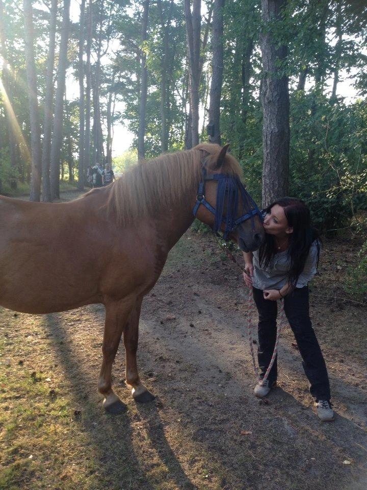 Gotlandsruss Jazzman billede 6