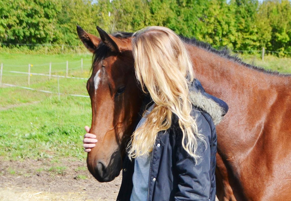 Anden særlig race Lippaschu billede 8