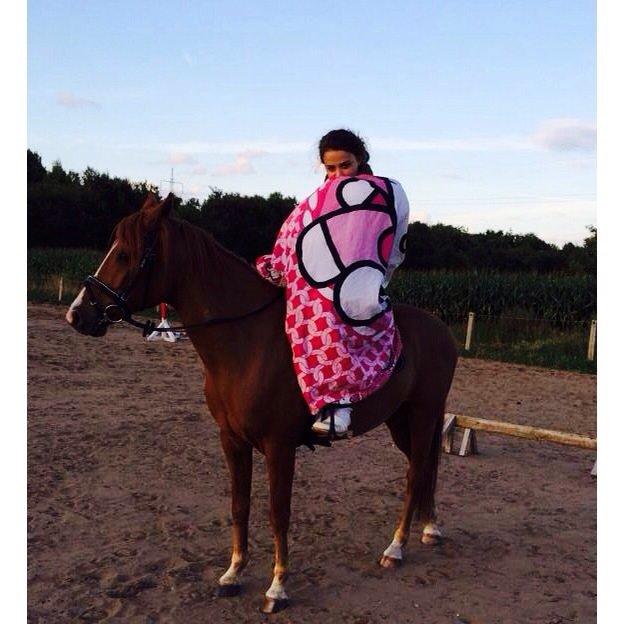 DSP Lejaro Rouge billede 15