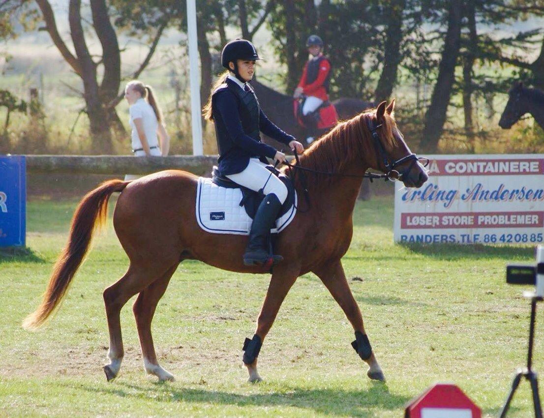 DSP Lejaro Rouge billede 16