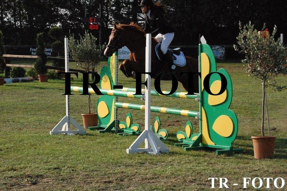 DSP Lejaro Rouge billede 17