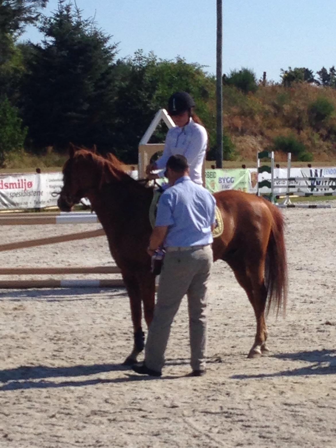 DSP Lejaro Rouge billede 19