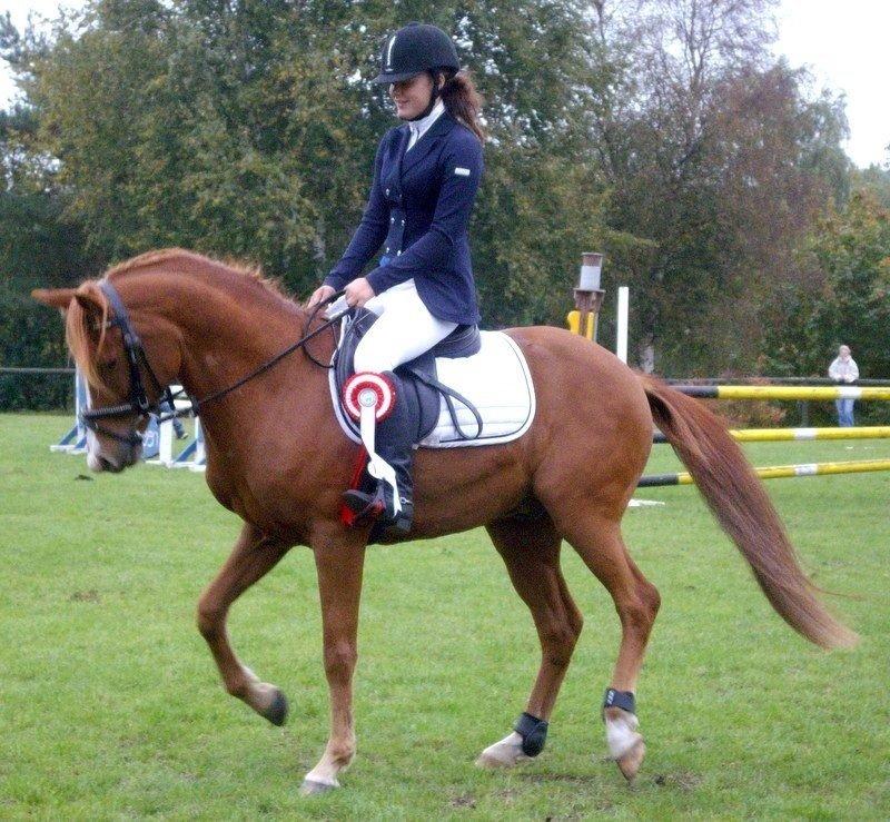 DSP Lejaro Rouge billede 18