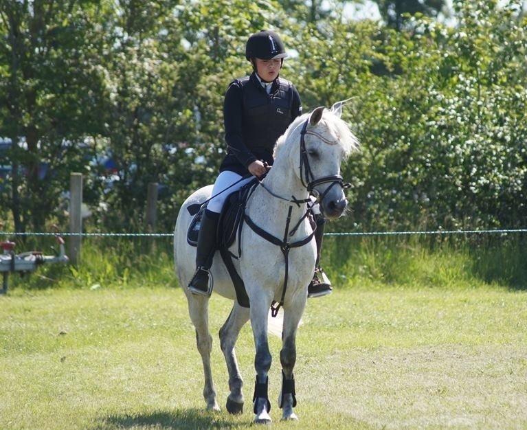 Anden særlig race Nordhøjens Freja  billede 1