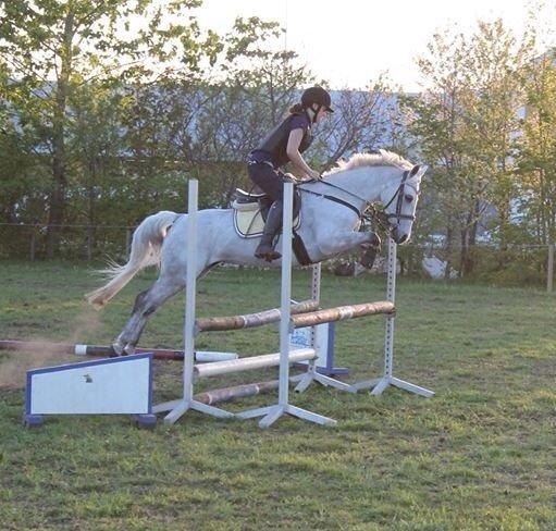 Anden særlig race Nordhøjens Freja  billede 4