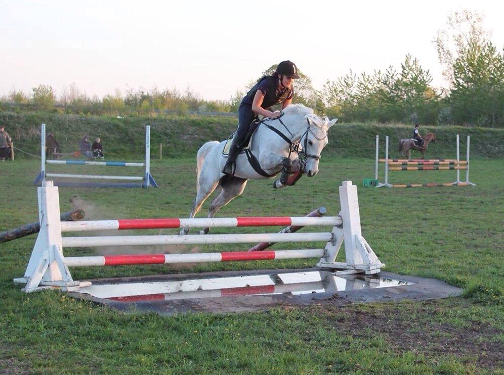 Anden særlig race Nordhøjens Freja  billede 5