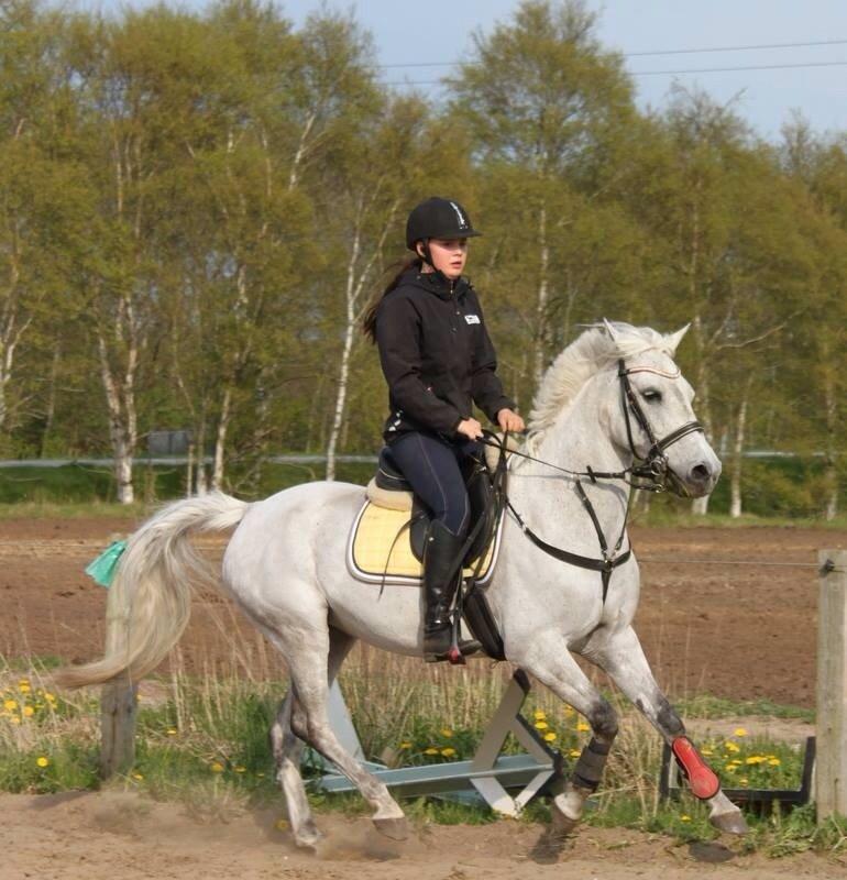 Anden særlig race Nordhøjens Freja  billede 7