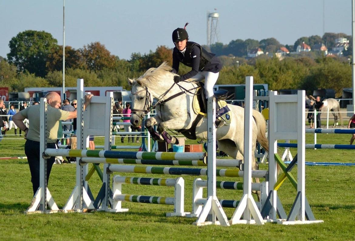 Anden særlig race Nordhøjens Freja  billede 8