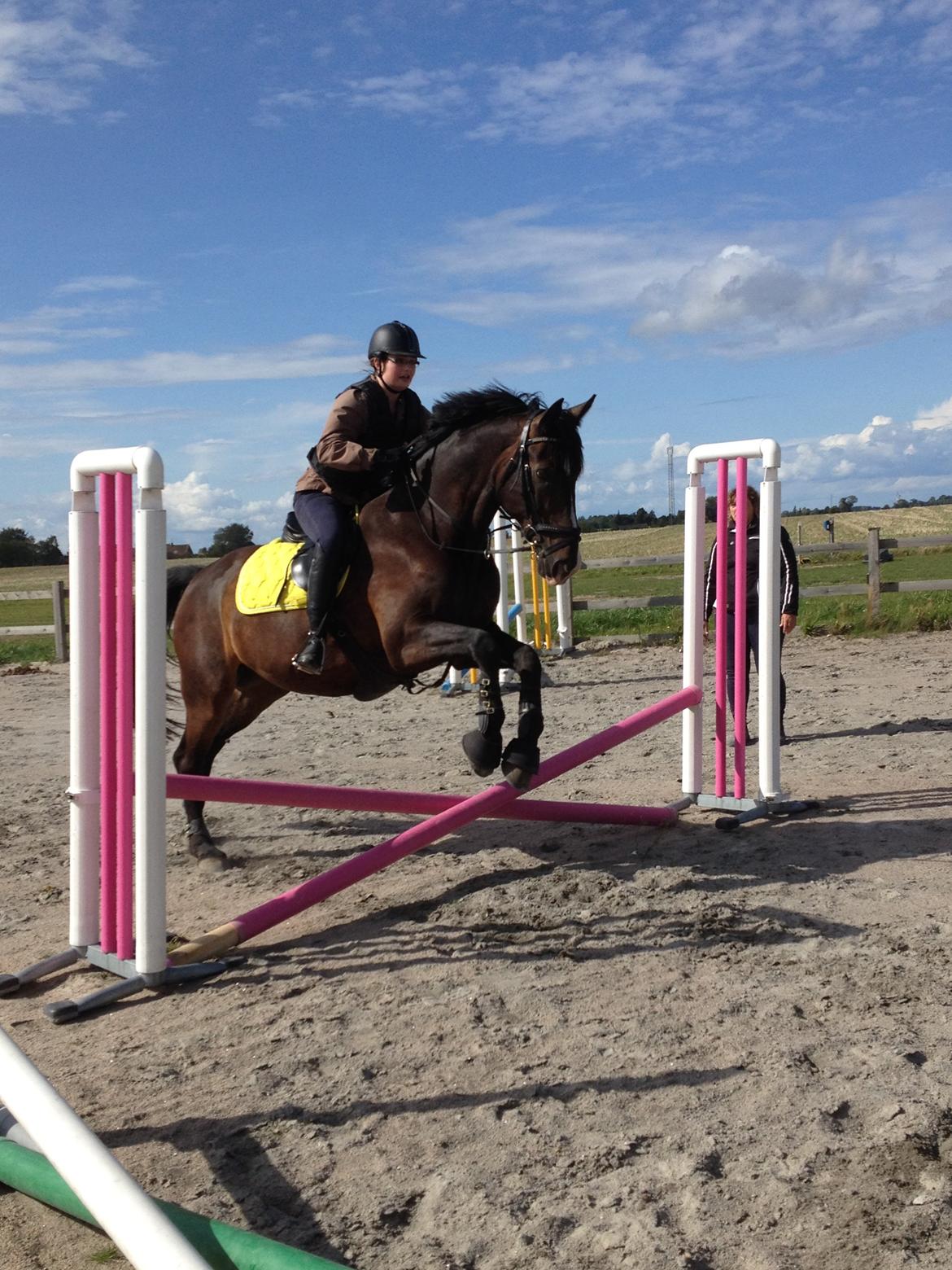 Oldenborg "Korsløkkens" Markus - Halstehus Efterskole 14/15 billede 16