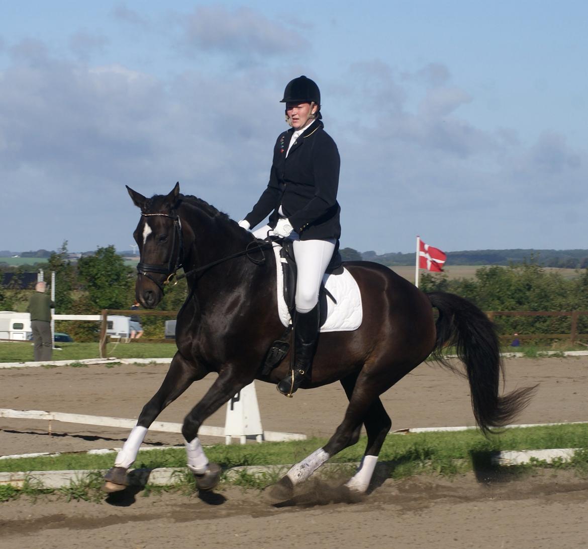 Dansk Varmblod Miss Light - fra stævnet i Thorsø billede 9