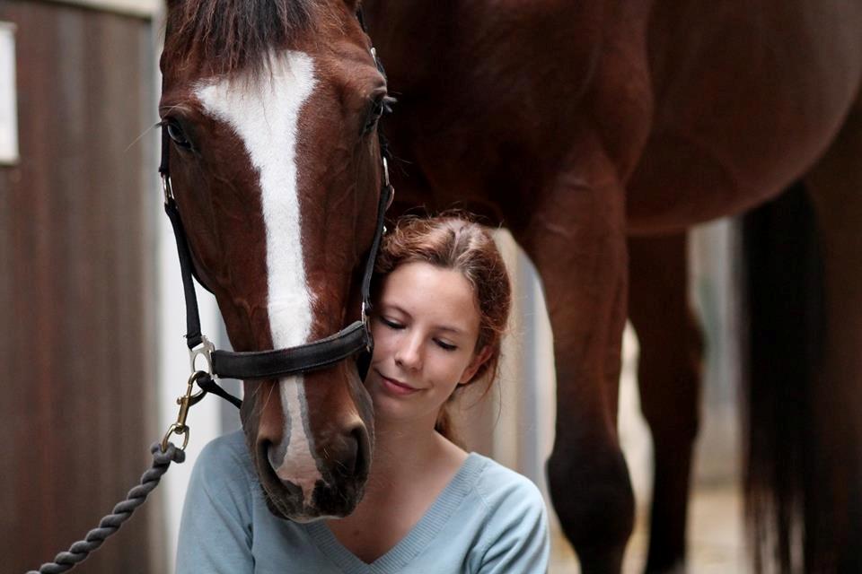 Holstener Armageddon - Altid med, aldrig uden <3 billede 1